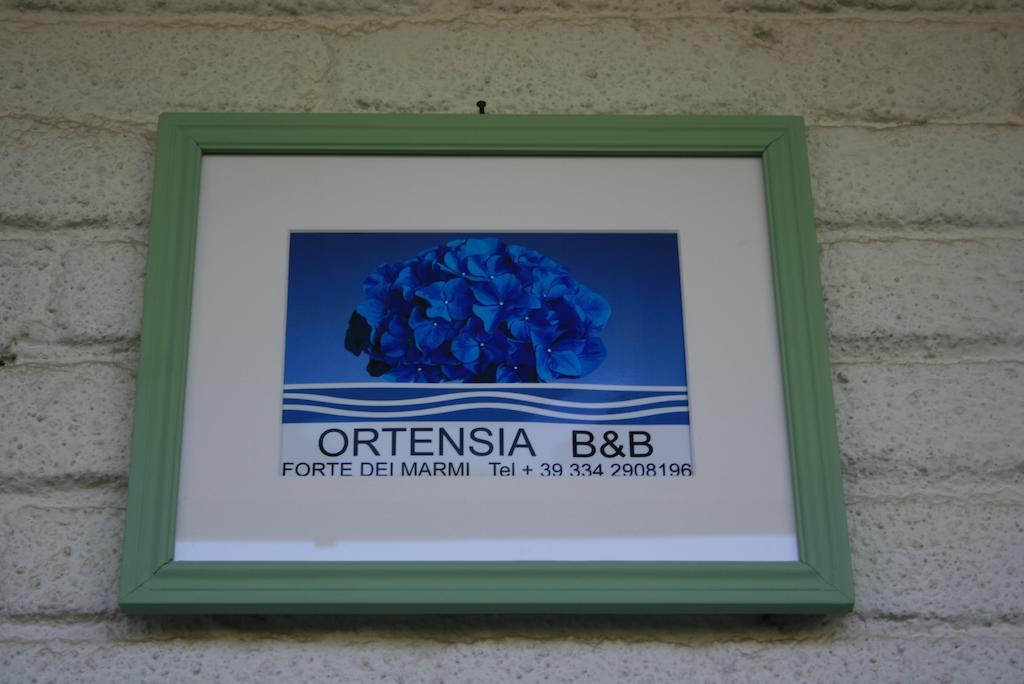 B&B Ortensia Forte dei Marmi Esterno foto